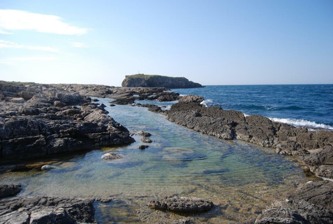 Eagle'S Nest Βίλα Polignano a Mare Εξωτερικό φωτογραφία