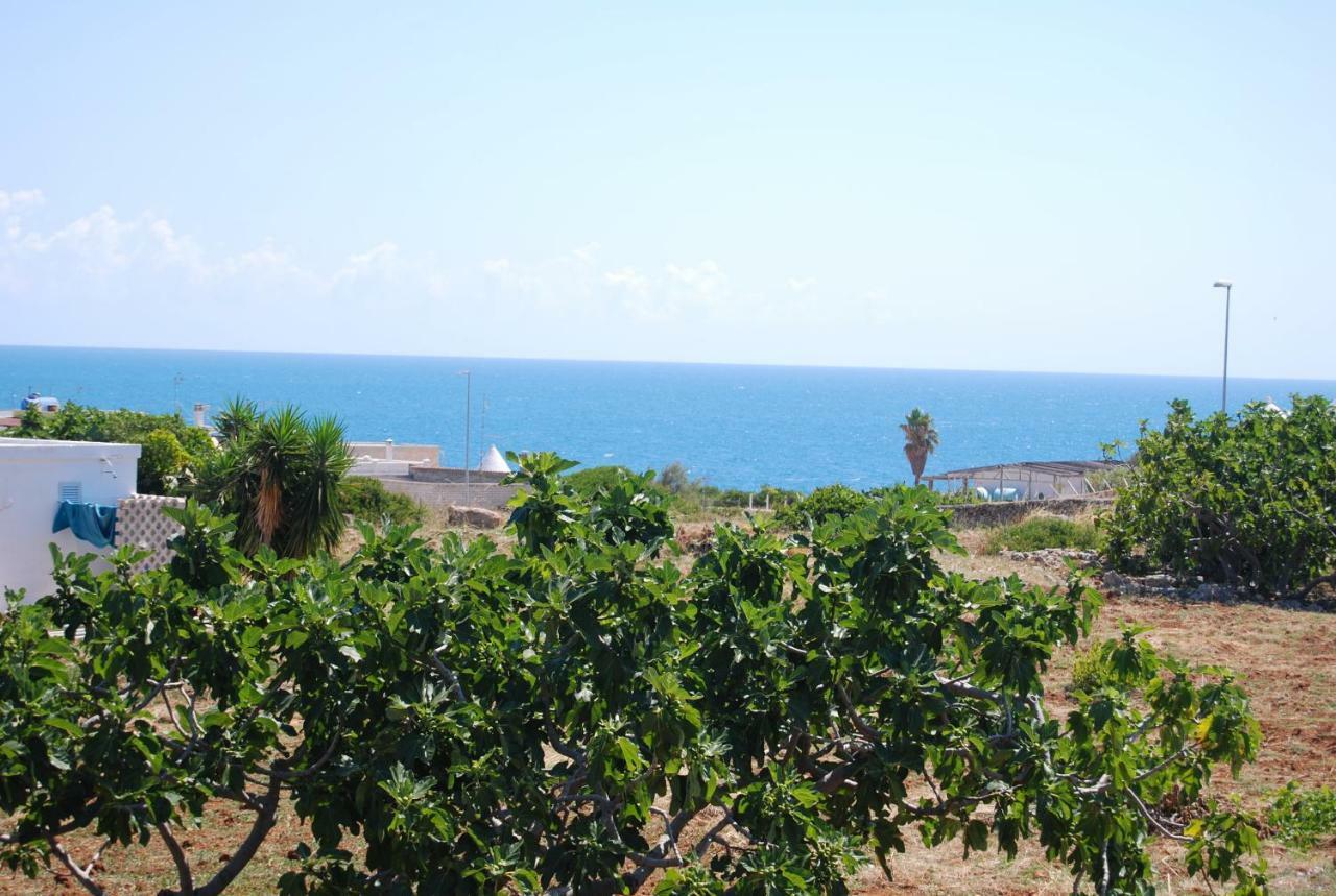 Eagle'S Nest Βίλα Polignano a Mare Εξωτερικό φωτογραφία